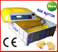 Chicken Automatic Egg Incubators Gauteng SA South Africa For Sale chicken-automatic-egg-incubators-gauteng-sa-south-africa-for-sale